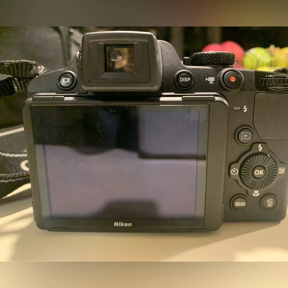 Nikon COOLPIX P510 16.1 MP Digital Camera - 42x Optical Zoom, Full HD + Case